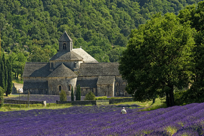 France, Senanque