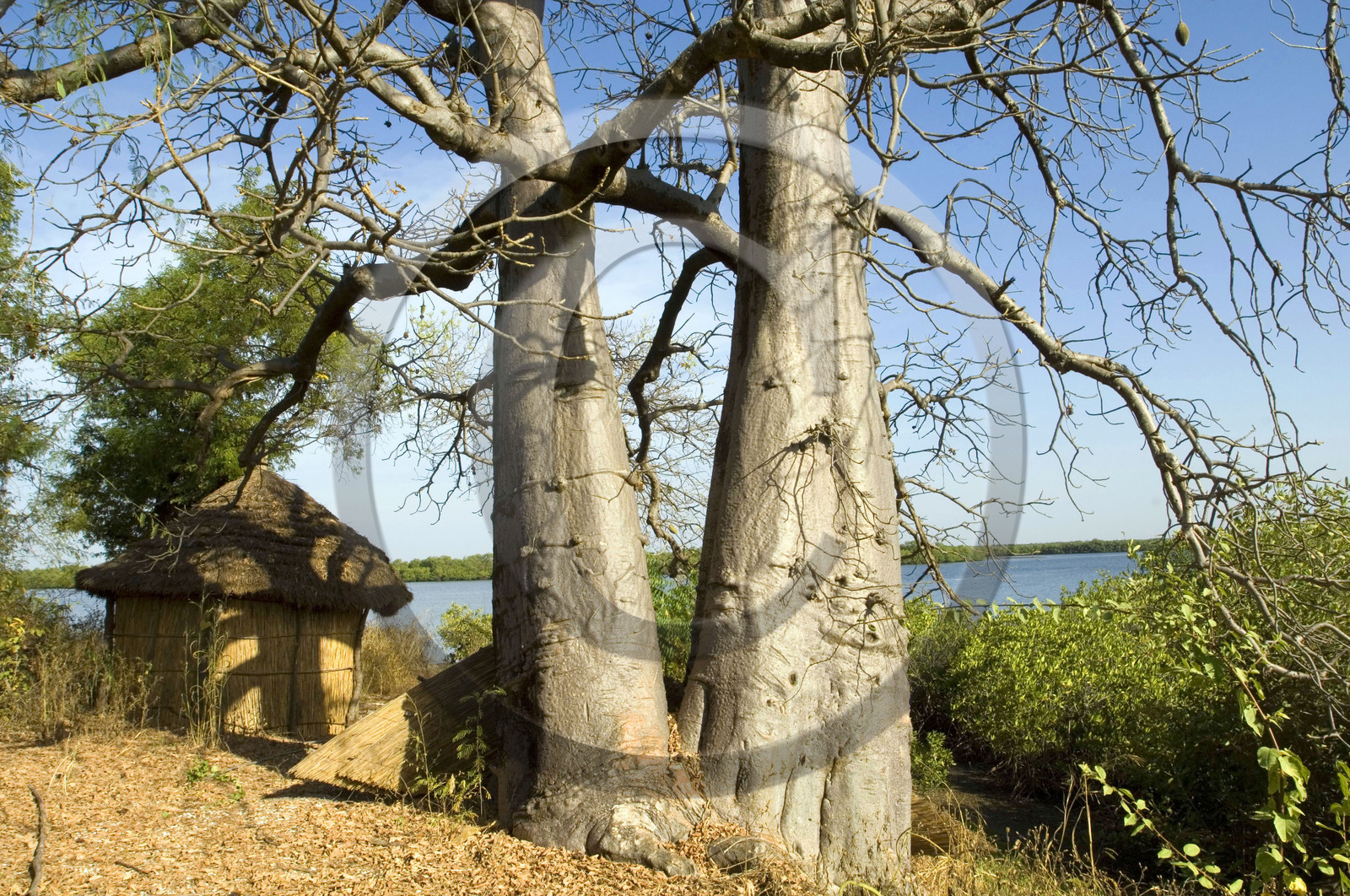 Saloum, Sénégal