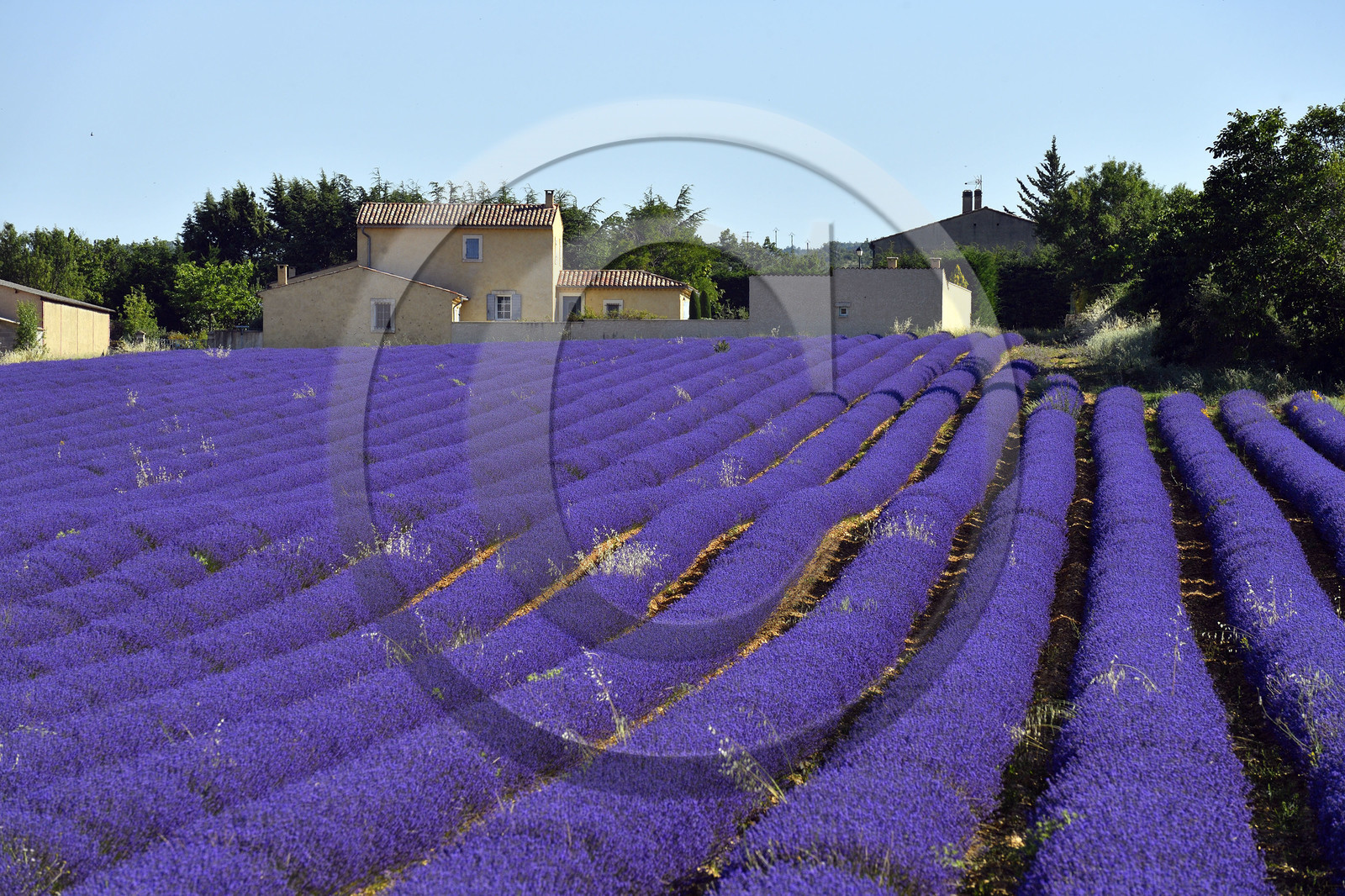 France, Simiane la Rotonde