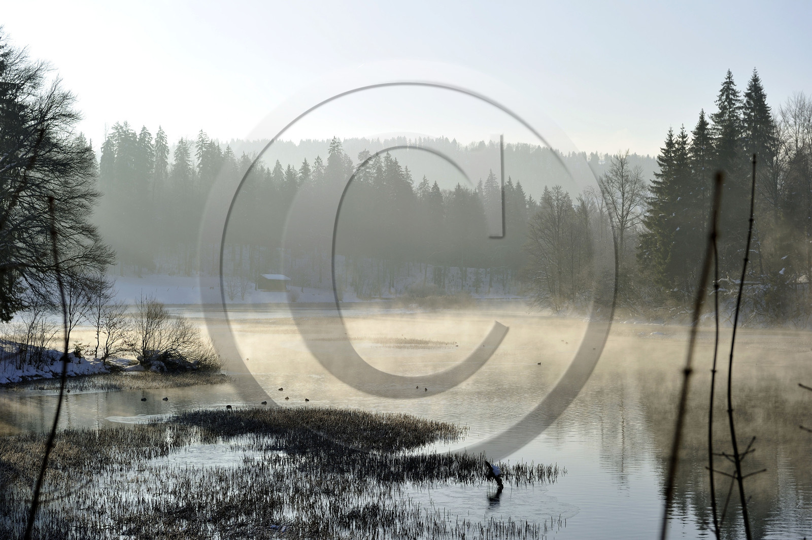 France, Franche-Comte