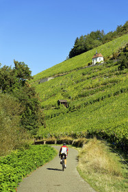 France, Thann