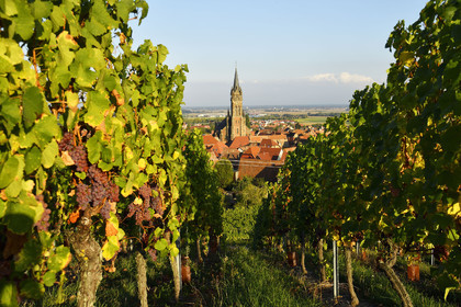 France, Dambach la Ville