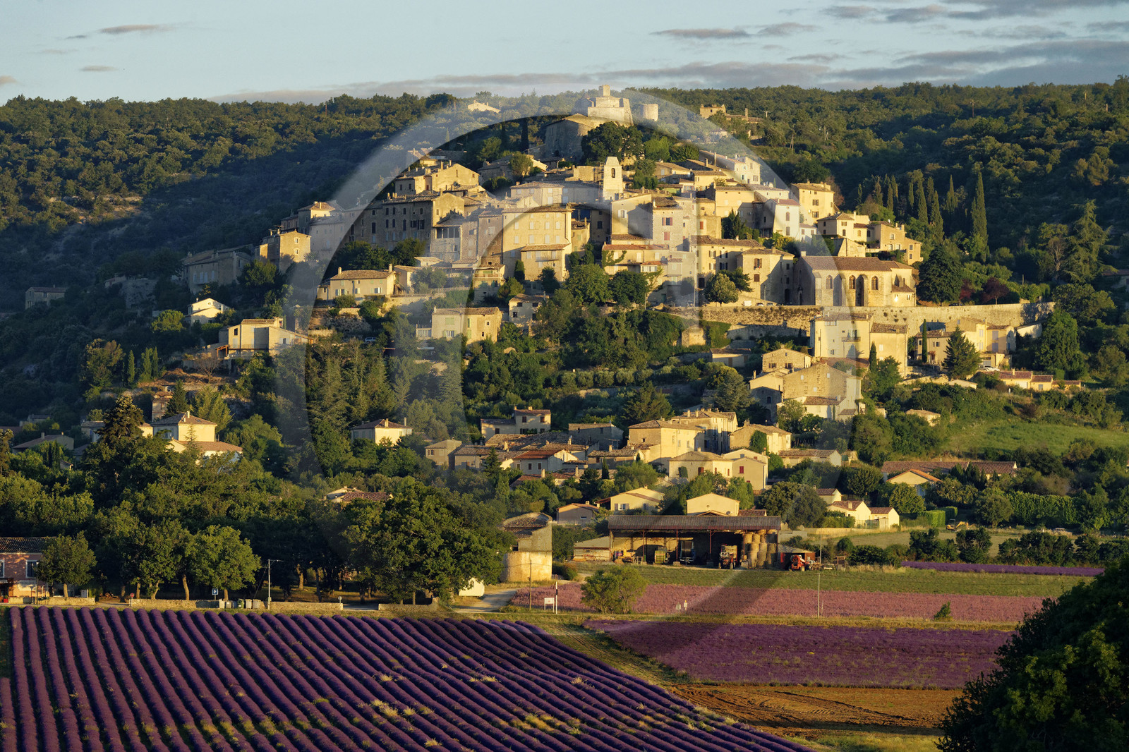 France, Simiane la Rotonde