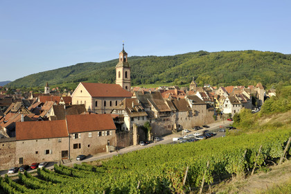 France, Riquewihr