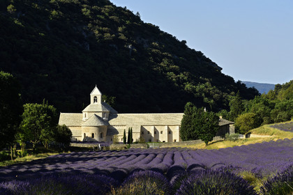 France, Senanque