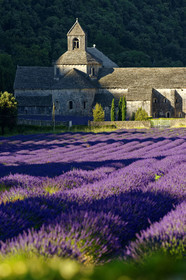France, Senanque