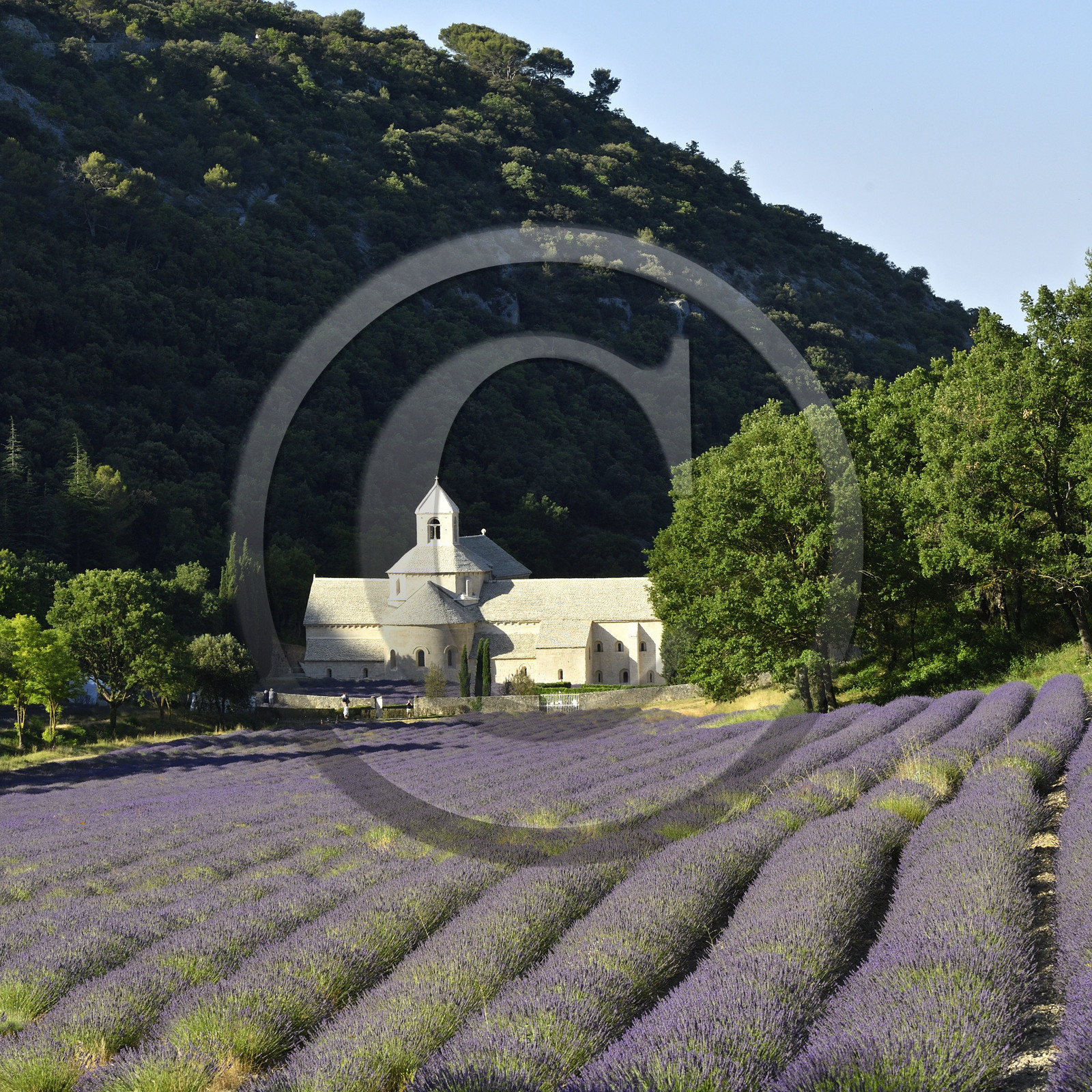 France, Senanque
