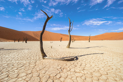 Namibie, Sossusvlei