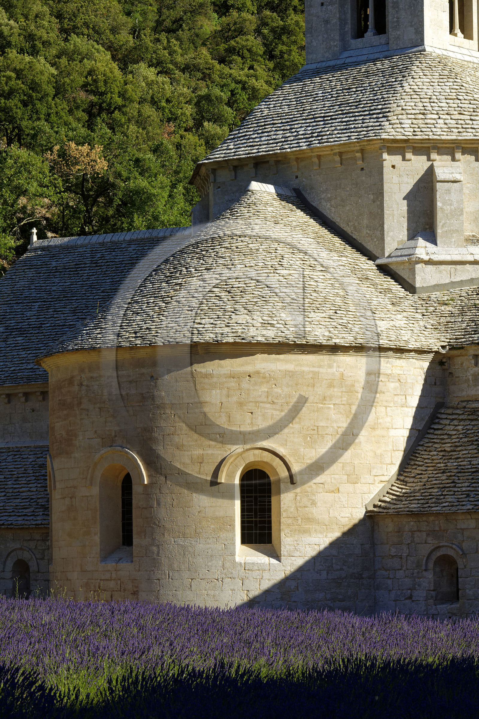 France, Senanque