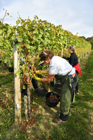 France, Dambach la Ville