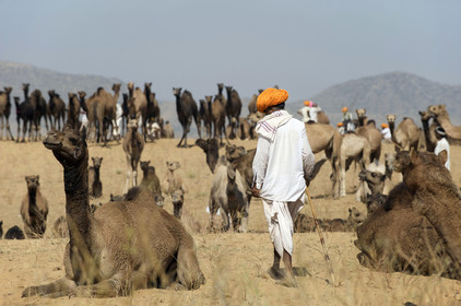 Inde, Pushkar