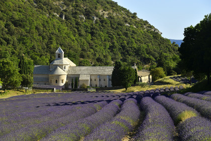 France, Senanque
