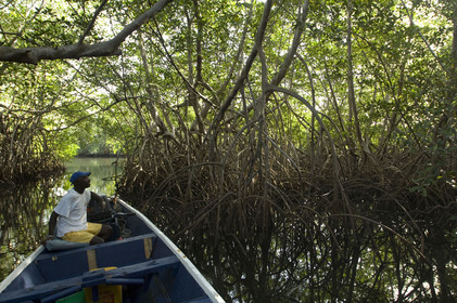Saloum, Sénégal