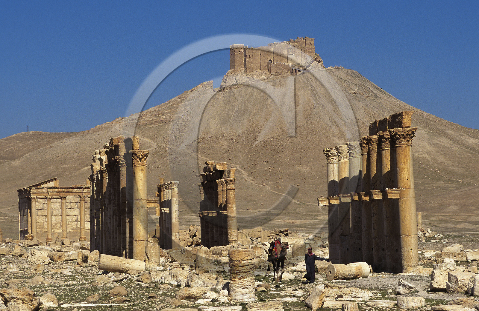 Palmyre, Syrie