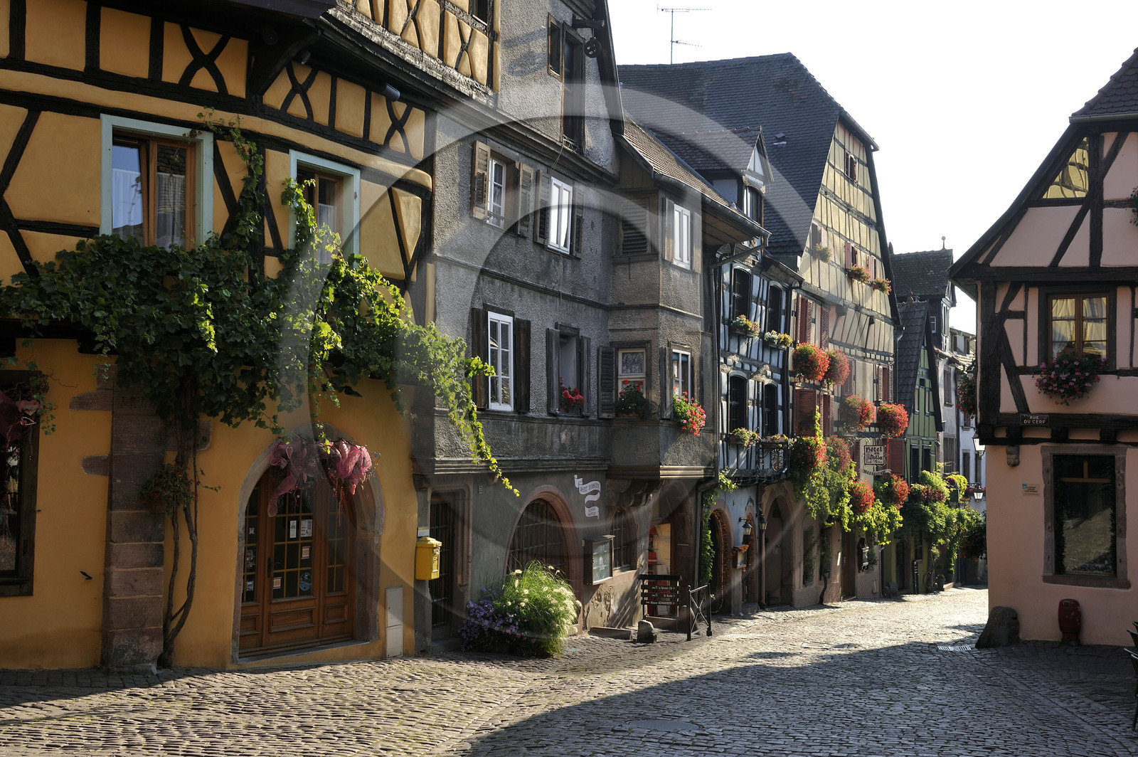 France, Riquewihr