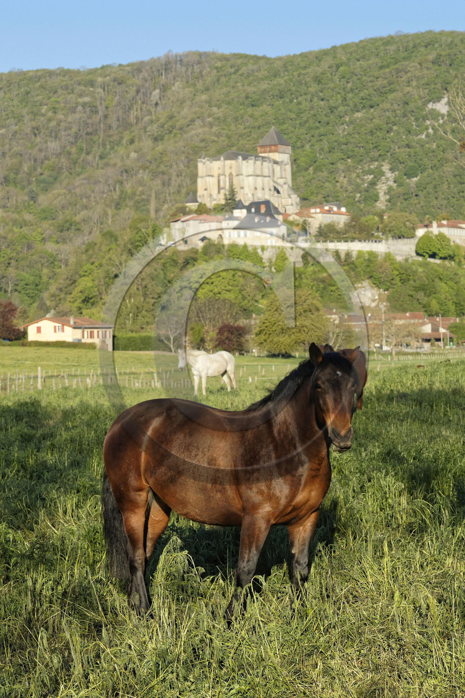 France france haute garonne saint bertrand comminges
