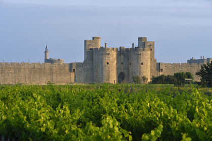 France, Aigues Mortes