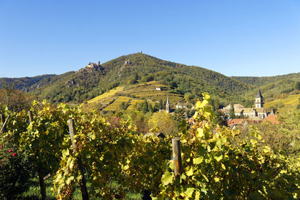 France, Ribeauville