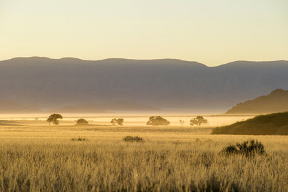 Namibie, Sossusvlei