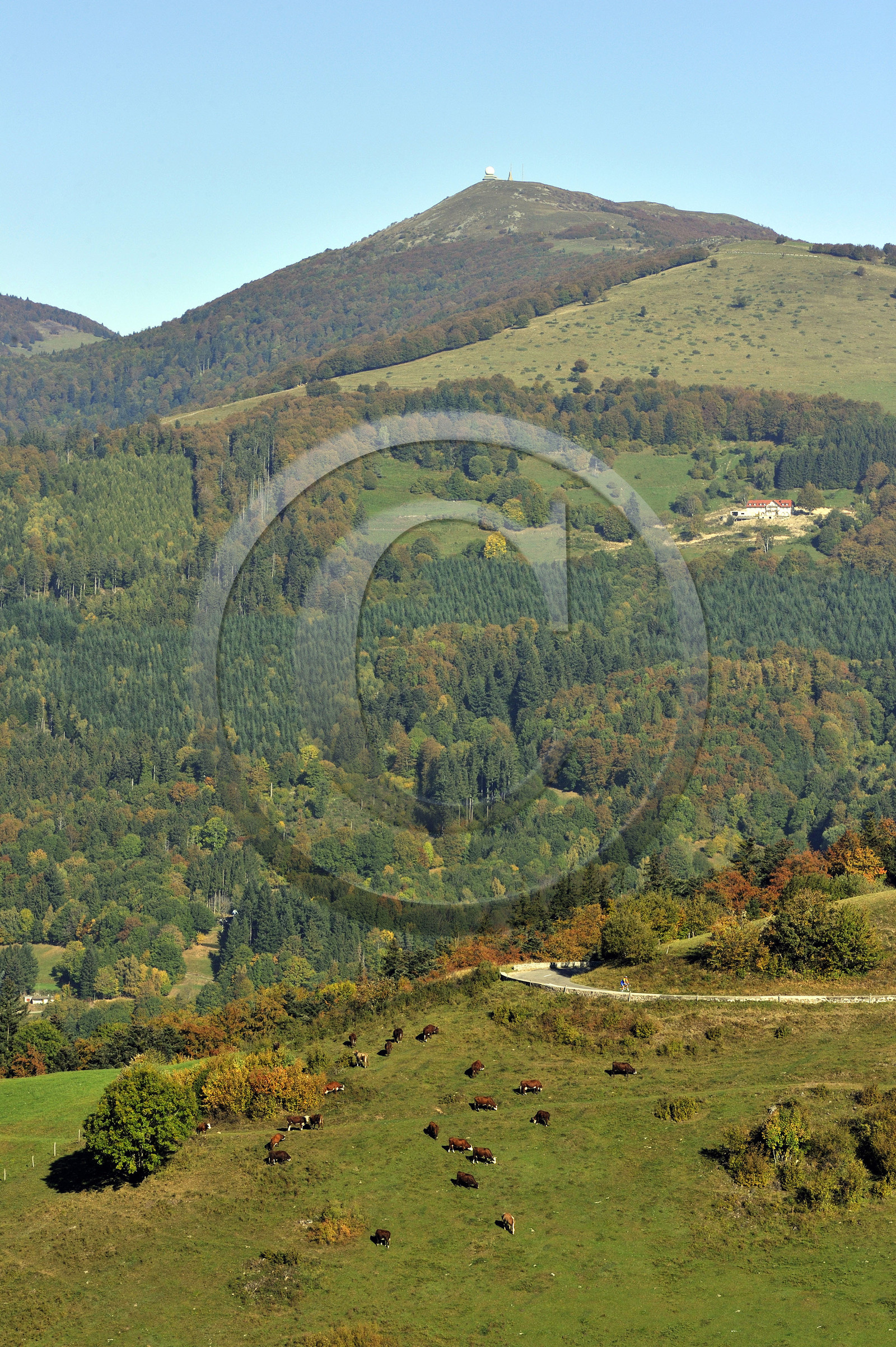 France, Grand Ballon
