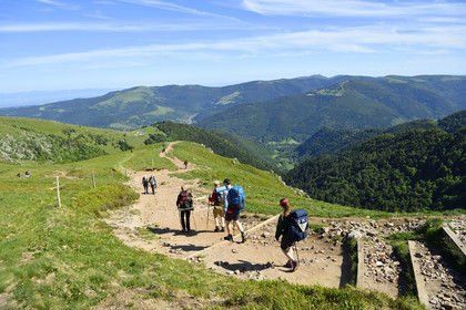 France, Vosges