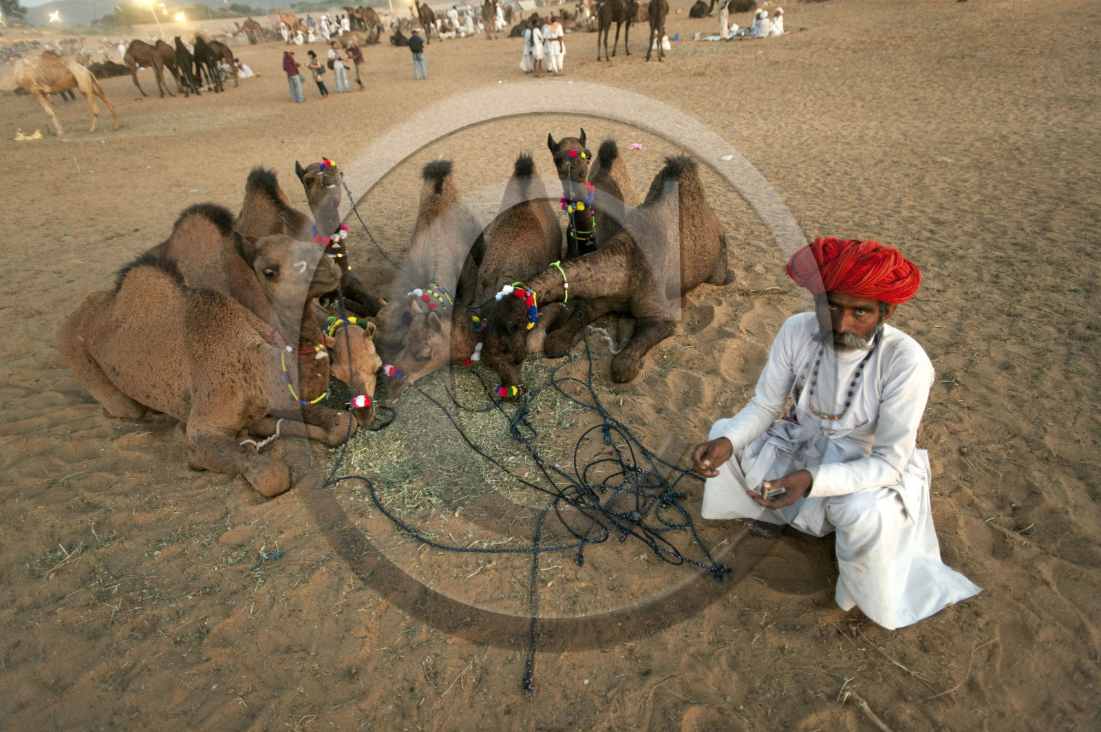 Inde, Pushkar