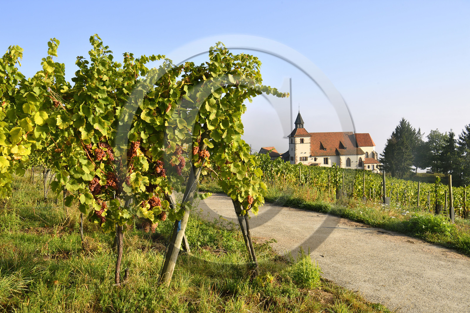 France, Dambach la Ville