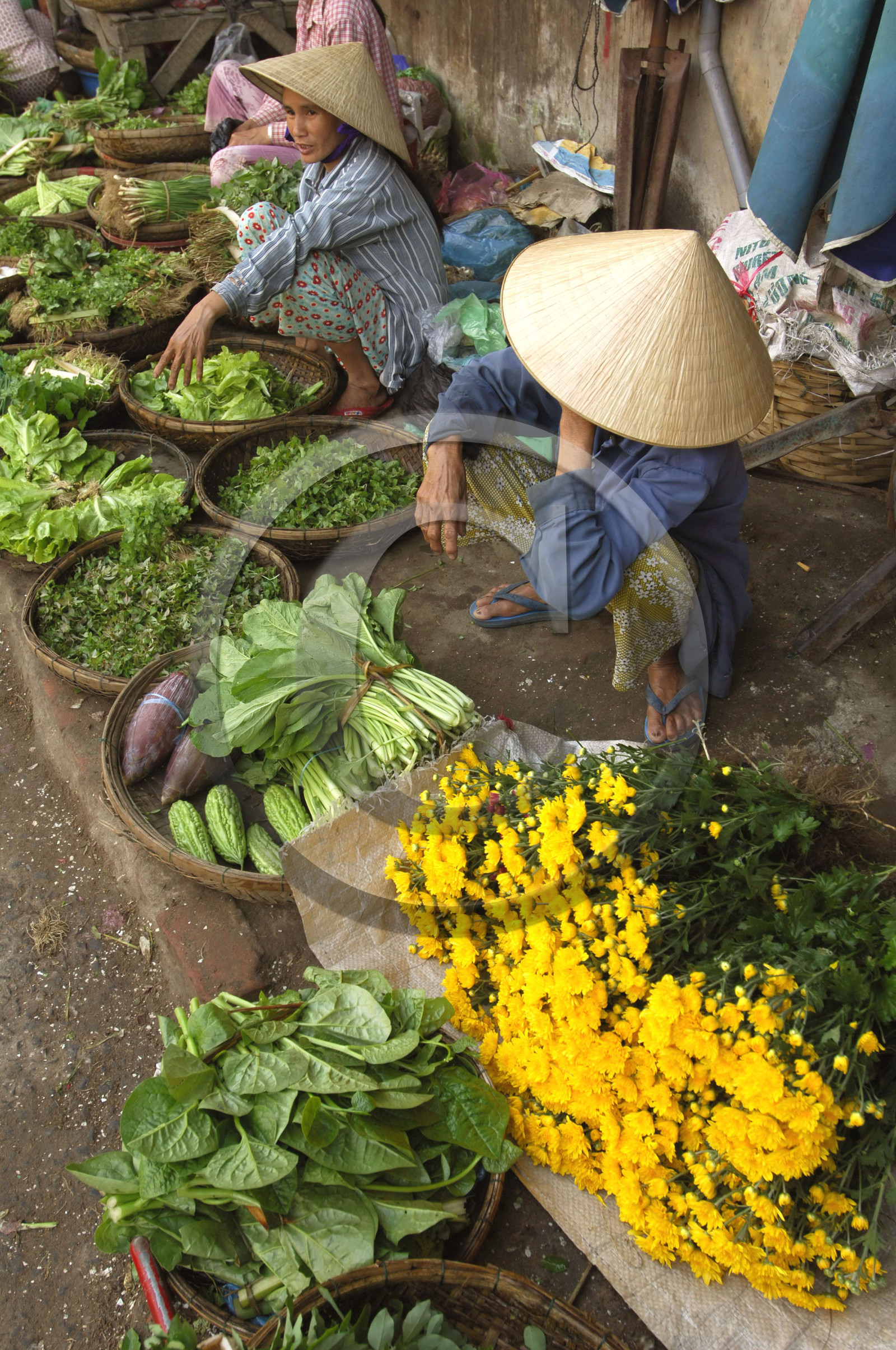 HOI AN, VIETNAM