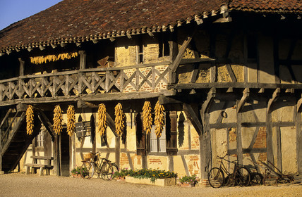 COURTES (01),  FRANCE