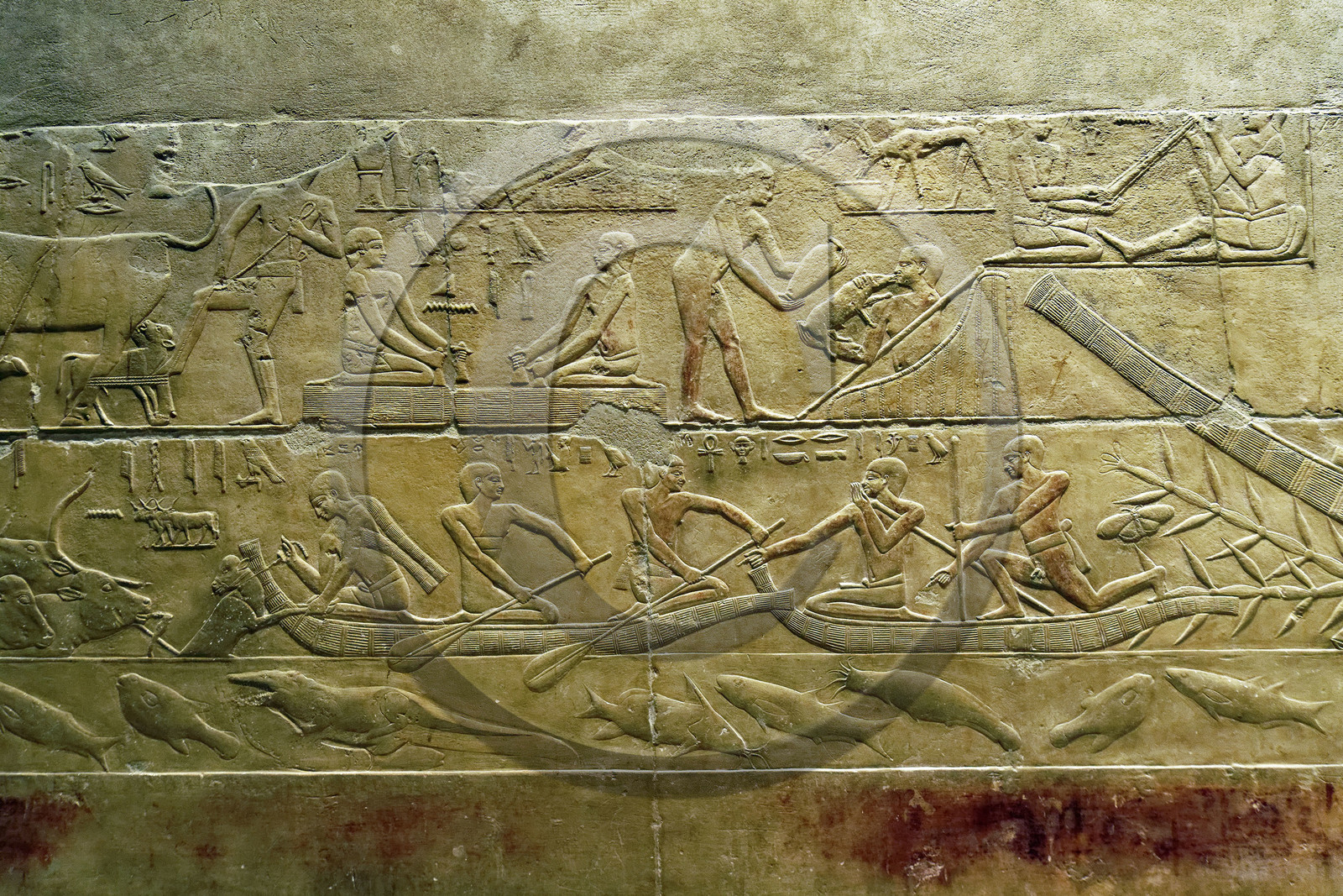 Egypte, Saqqara