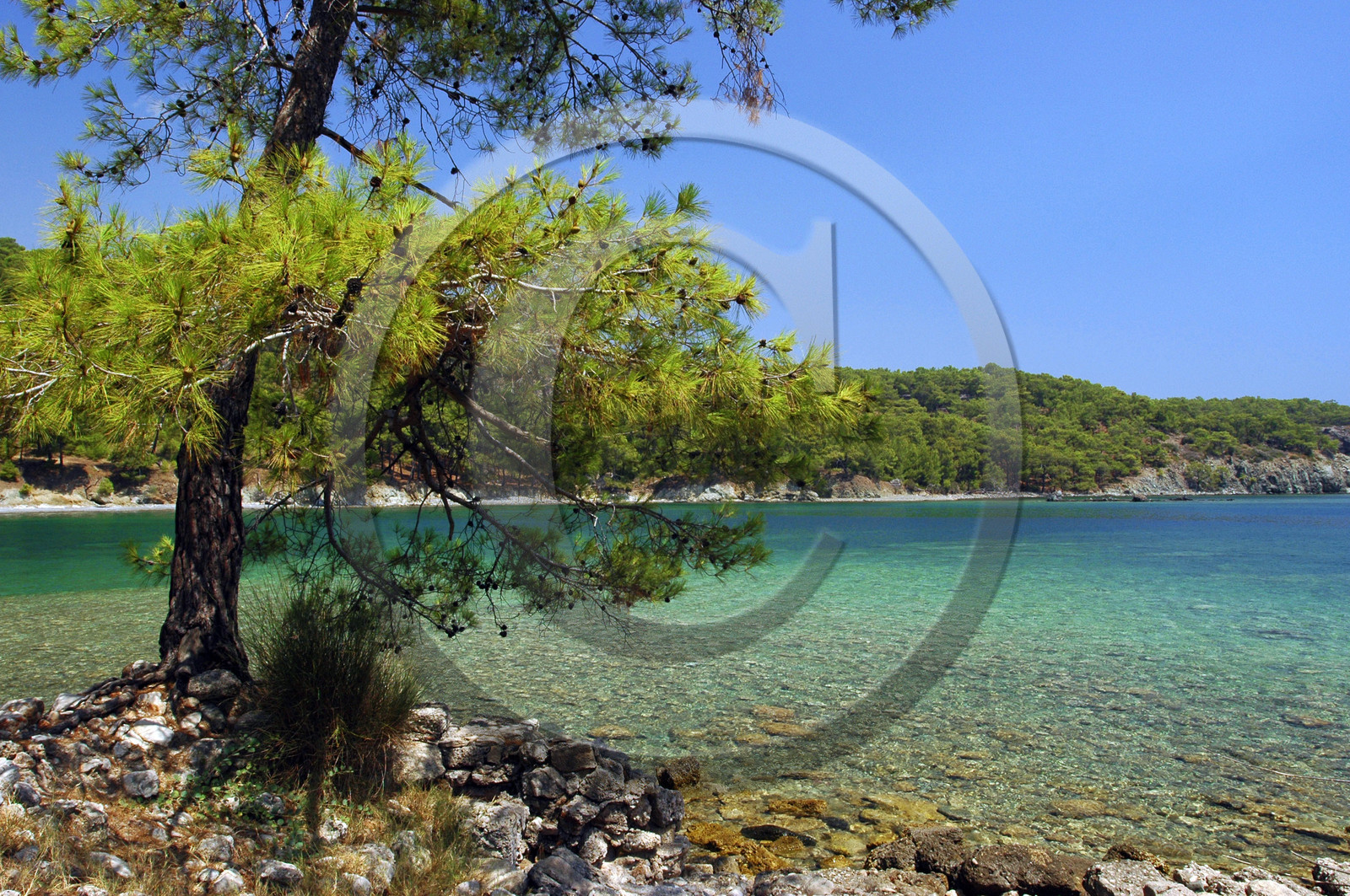 Phaselis, the coast