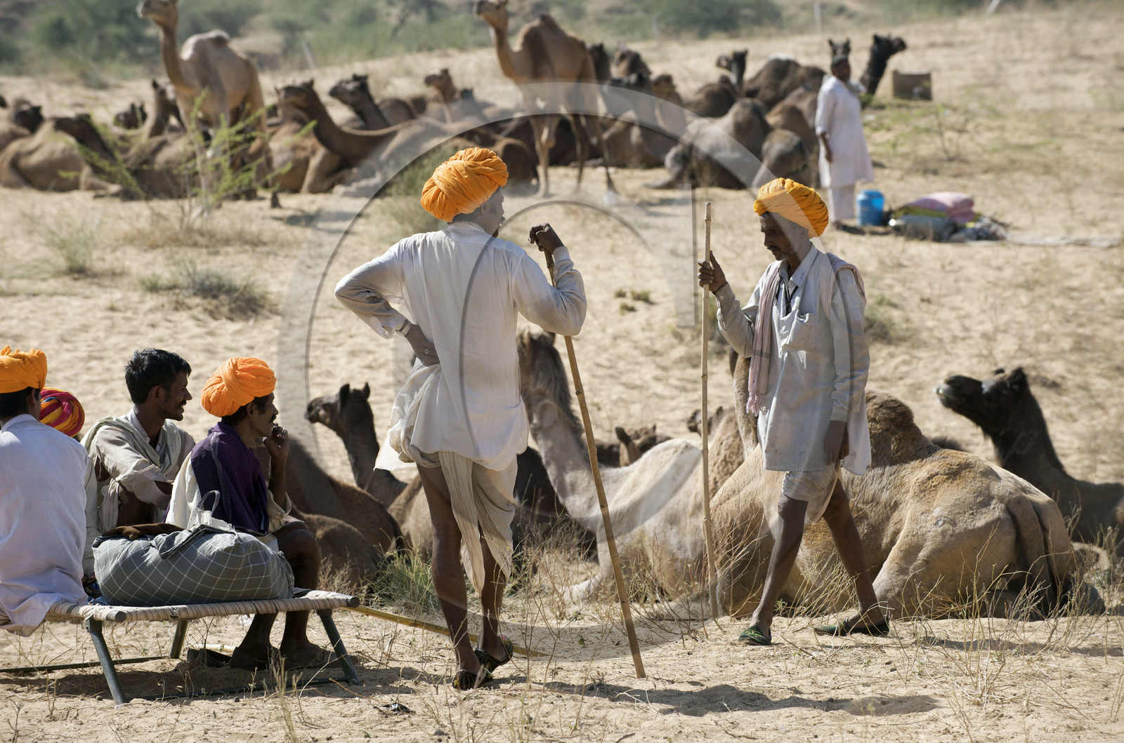 Inde, Pushkar