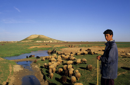 Syrie