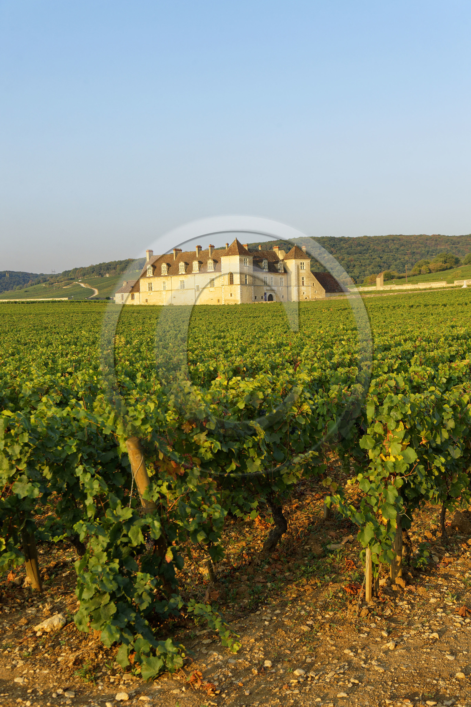 France, Vougeot