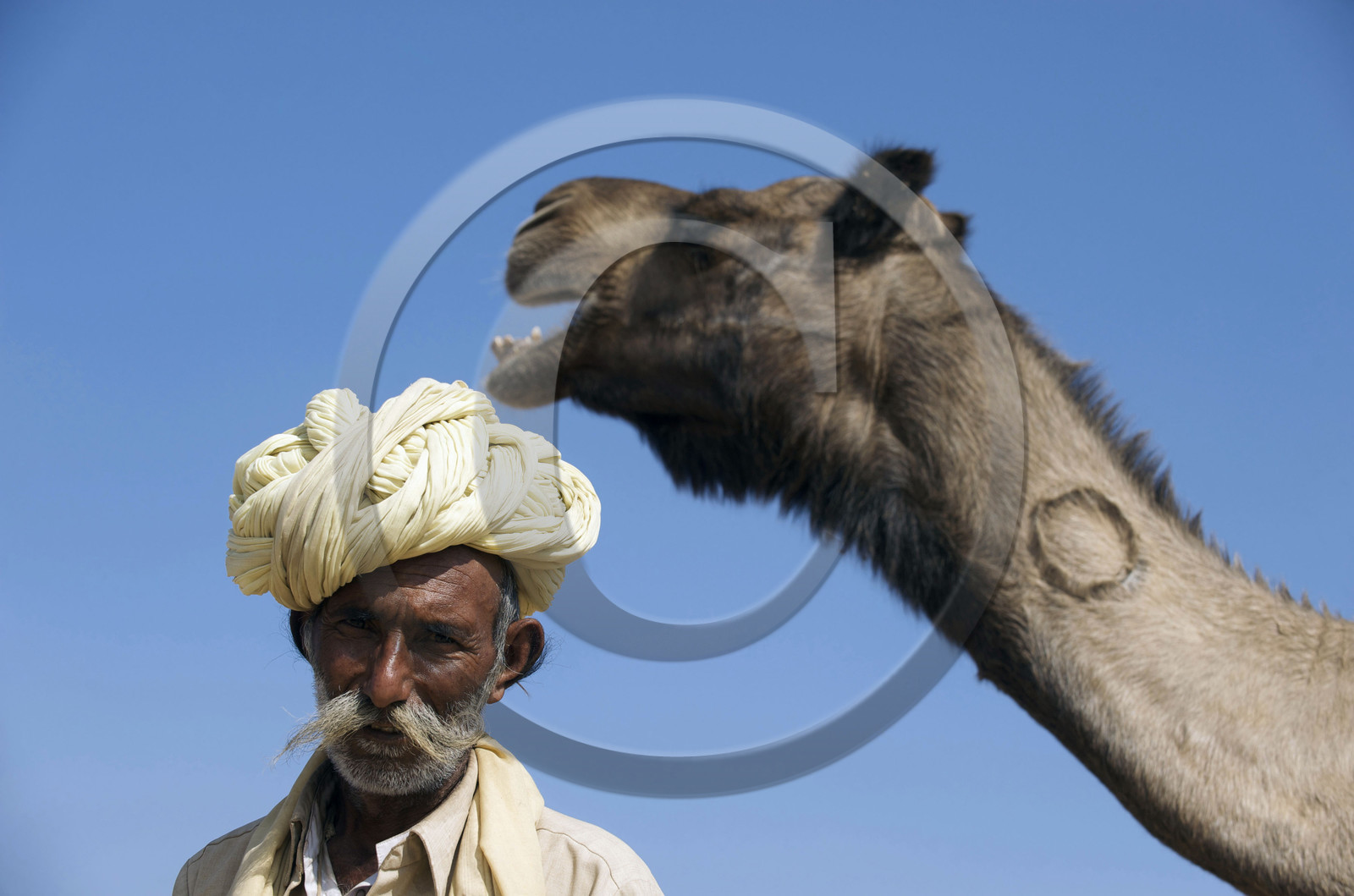 Inde, Pushkar