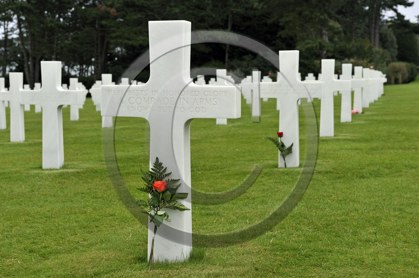 France, debarquement