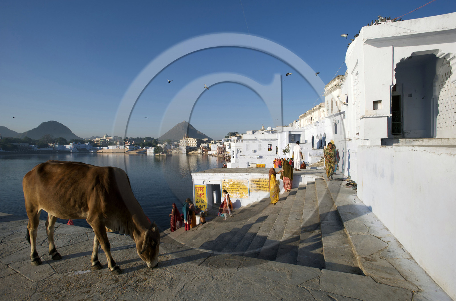Inde, Pushkar