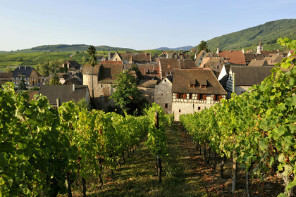 France, Riquewihr