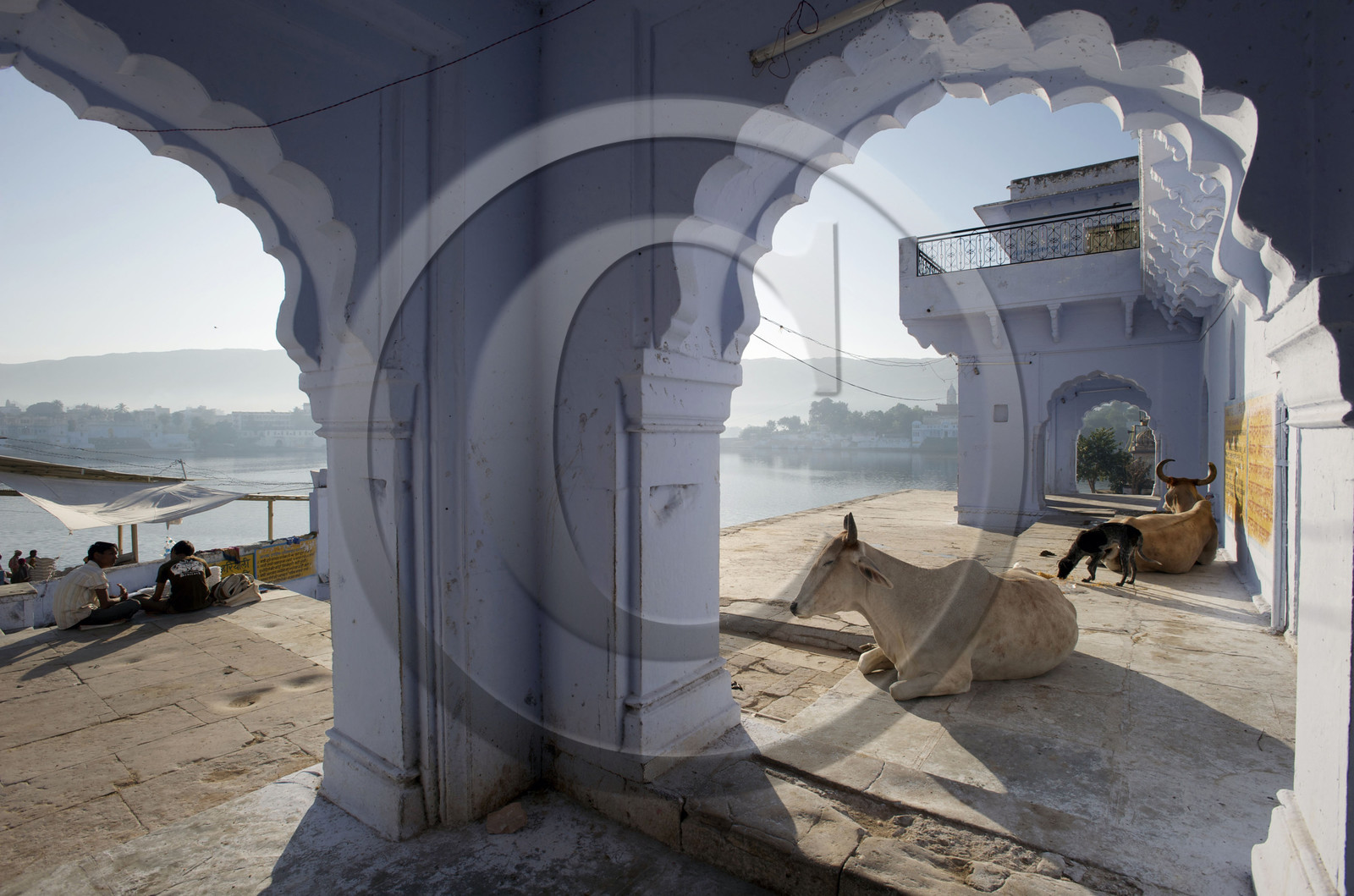 Inde, Pushkar