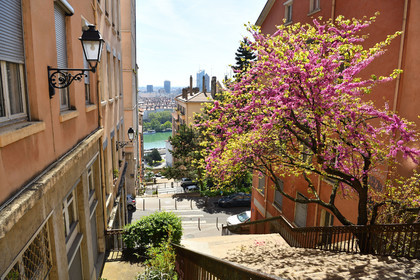 France, Lyon