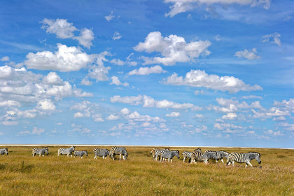 Namibie, Etosha
