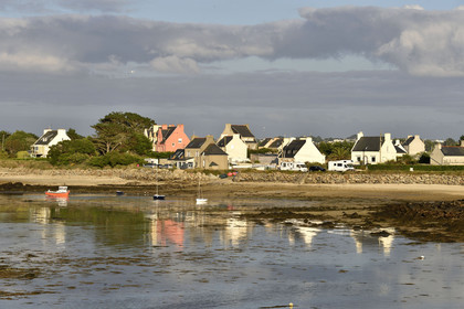 France, Lilia
