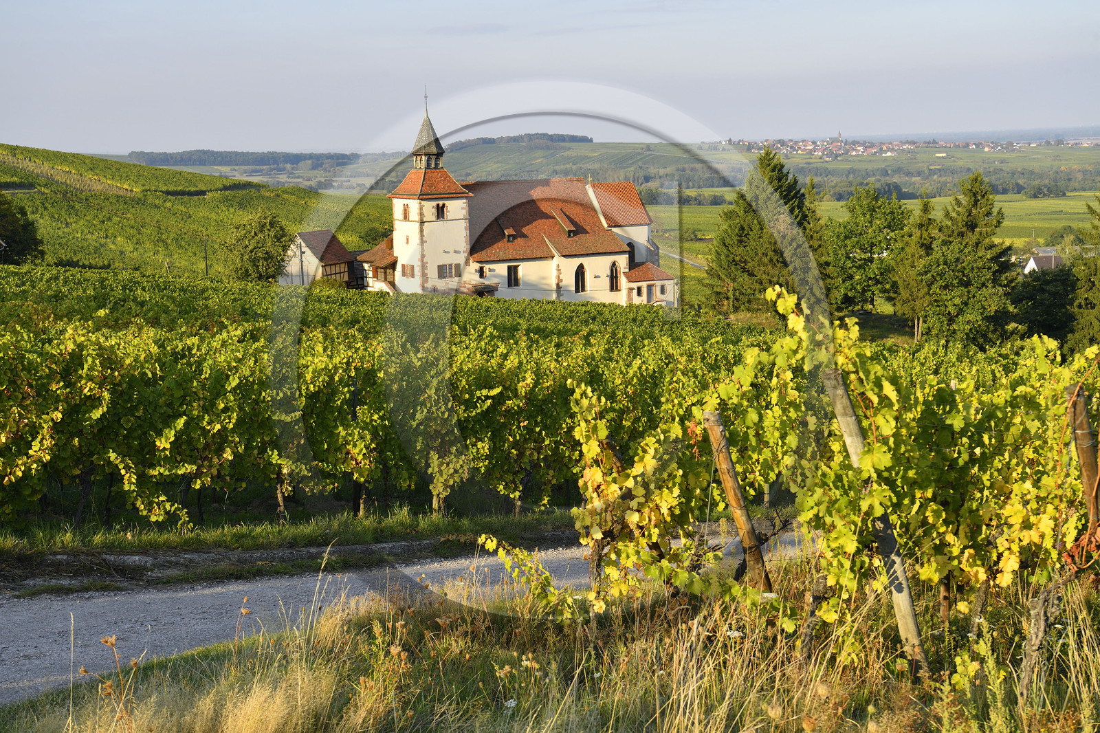 France, Dambach la Ville