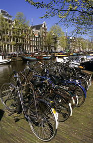 AMSTERDAM.PAYS BAS