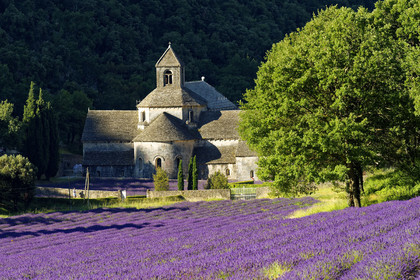 France, Senanque
