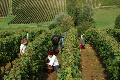 Franche-Comte, France