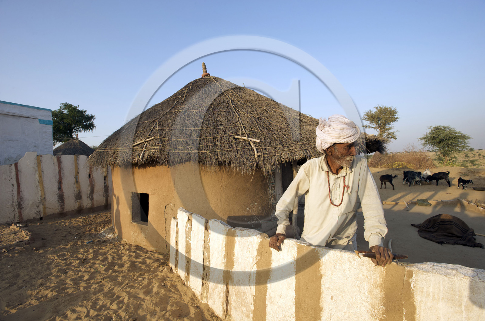 Inde, Rajasthan