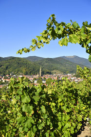 France, Thann