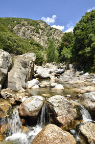 France, Heric