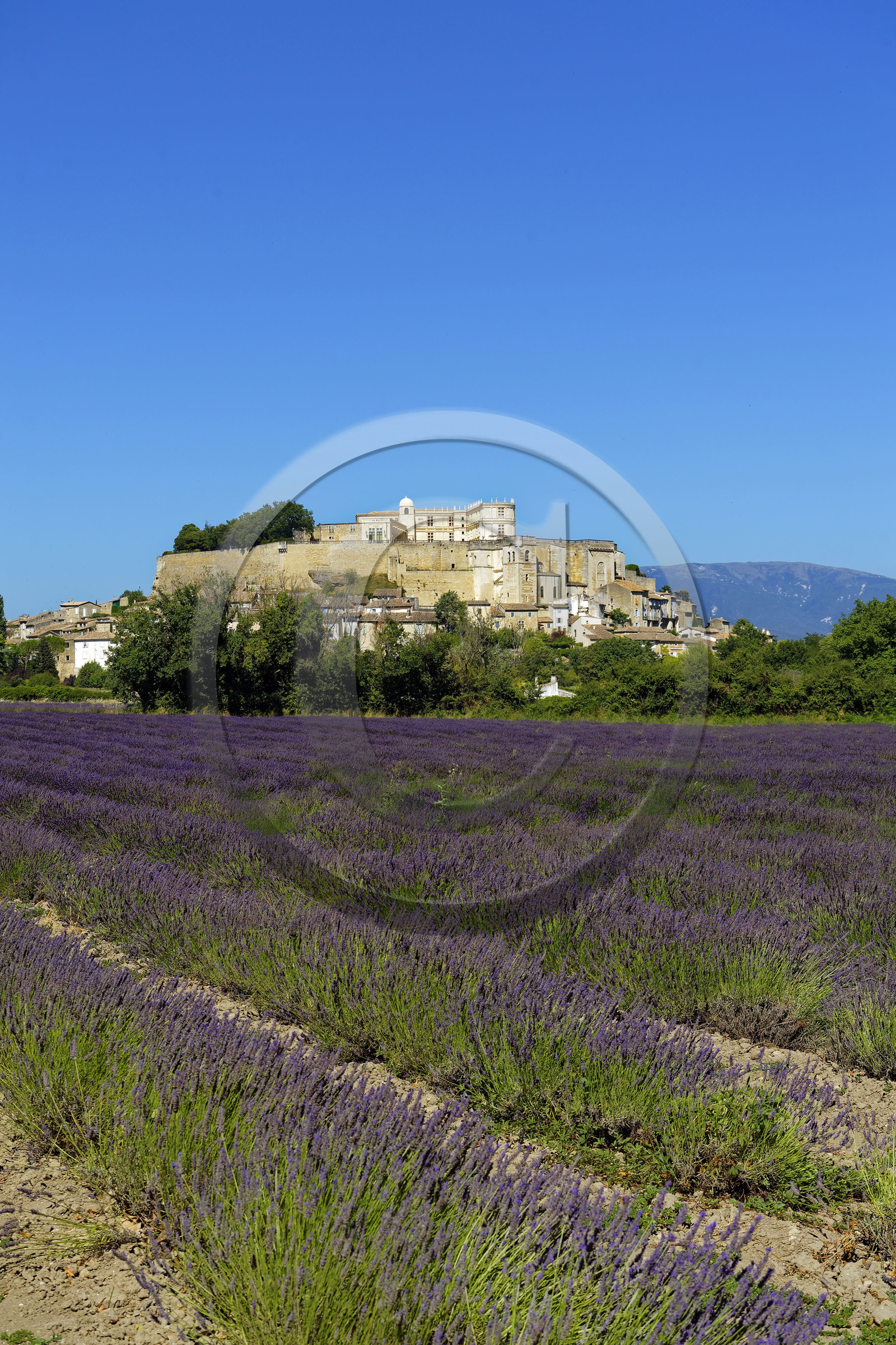 France, Grignan